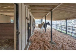 24921 Kit Carson Road, Hidden Hills CA: 