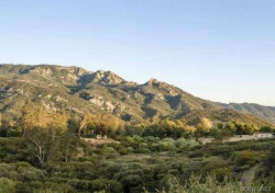 2063 Delphine Lane , Calabasas CA: 