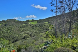 24000 LAUREL Place , Calabasas CA: 