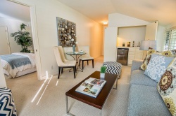 24317 Bridle Trail, Hidden Hills CA: 