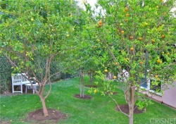 23167   Park Pinta  , Calabasas CA: 