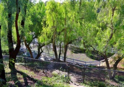 24944 Jim Bridger Road, Hidden Hills CA: 