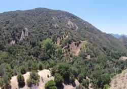 24940 BOB BATCHELOR Road, Calabasas CA: 