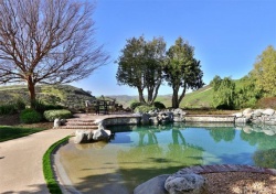 24816 WOODED VISTA, West Hills CA: 