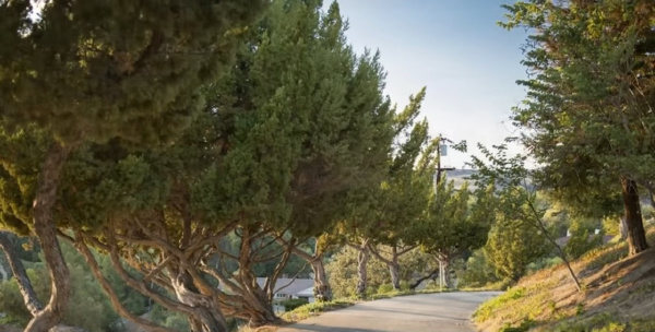 5550 Bonneville Road, Hidden Hills CA: 