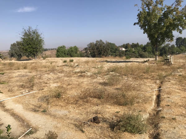 5545 DIXON TRAIL Road, Hidden Hills CA: 