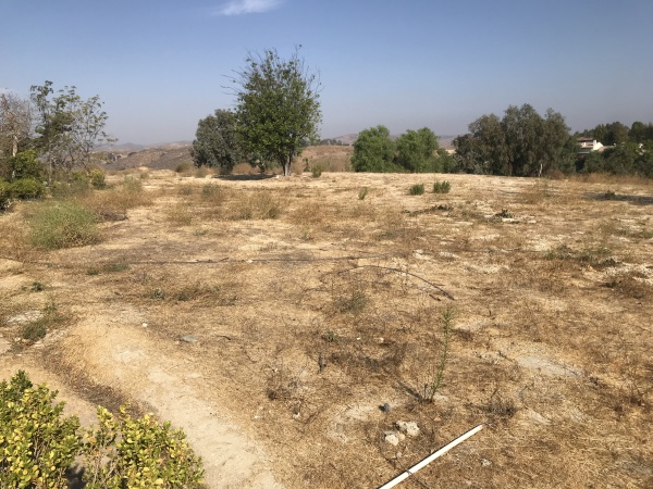 5545 DIXON TRAIL Road, Hidden Hills CA: 