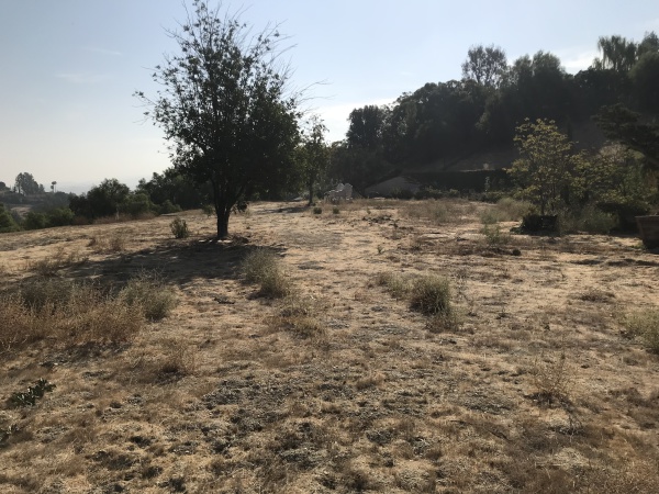 5545 DIXON TRAIL Road, Hidden Hills CA: 