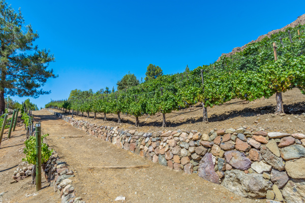 31145 Lobo Vista Road, Agoura Hills CA: 