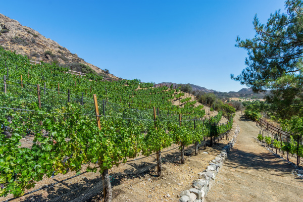 31145 Lobo Vista Road, Agoura Hills CA: 