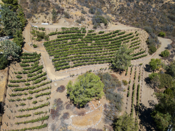 31145 Lobo Vista Road, Agoura Hills CA: 