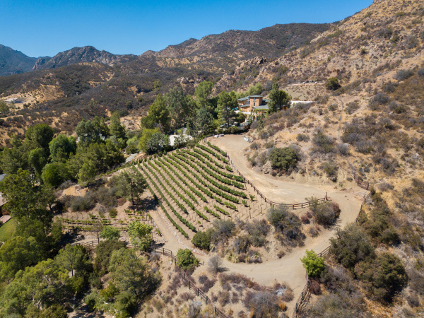 31145 Lobo Vista Road, Agoura Hills CA: 