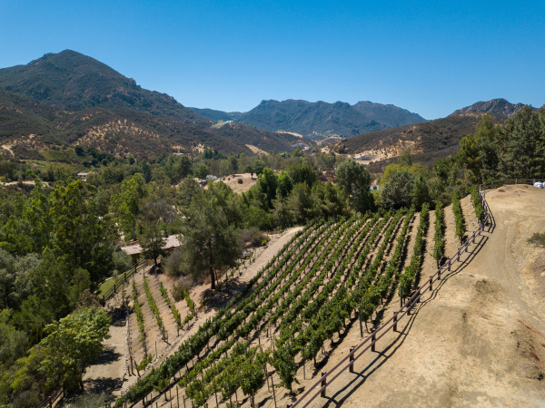 31145 Lobo Vista Road, Agoura Hills CA: 