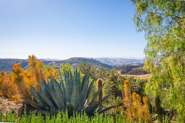 24021 Alder Place, Calabasas CA: 