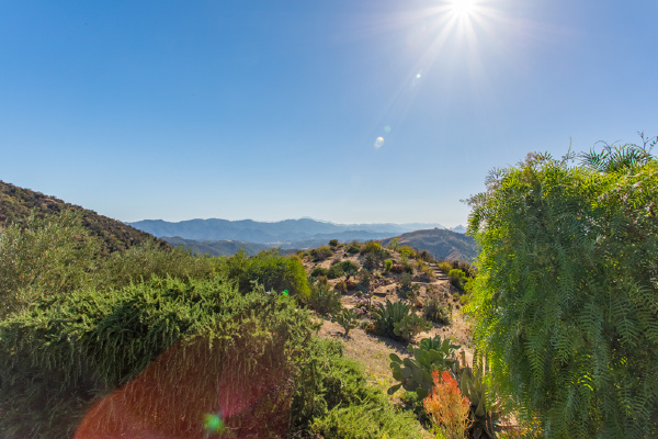 24021 Alder Place, Calabasas CA: 